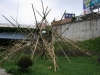 BAMBOO PROJECT JAPAN