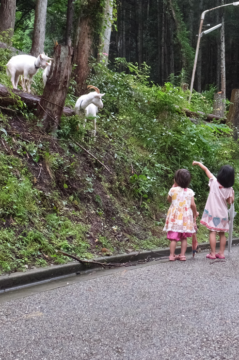 Rainbow CHILD 2020 - 2014.08.16 at 岐阜 山なんや ～REPORT～