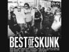 V.A. / BEST of SKUNK V.A. / BEST of SKUNK