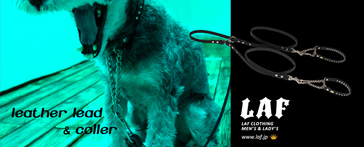 LAF leather lead & coller