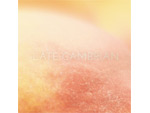 Late Cambrian - New Album 『Peach』 Release