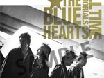 THE BLUE HEARTS – メモリアル盤発売記念番組情報／ニコ生（2月3日（火）20時～）、オールナイトニッポン（2月6日（金）22時～23時）etc