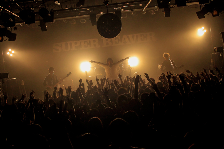 SUPER BEAVER 「都会のラクダ」 Tour 2015 ～秋味、サシ飲み～