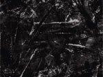 BES (SCARS/SWANKY SWIPE) – Solo Album 『UNTITLED』 Release