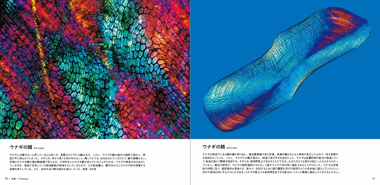 書籍 『美しい顕微鏡写真』 2016年5月23日発売。