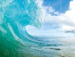 波の写真集 『SWELL -a year of waves-』 著者 ：エヴァン・スレーター (Evan Slater）写真編集：ピーター・タラス (Peter Taras) 2016年6月9日発売。