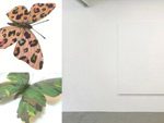 大野修平、水口鉄人による2人展『A Butterfly’s Dream』2016年8月13日（土）～9月25日（日）at gallery COEXIST-TOKYO