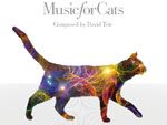 デヴィッド・タイ『ねこのための音楽 – Music For Cats』Release