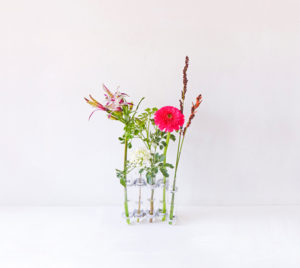 TAMIW - 1st Album『flower vases』Release