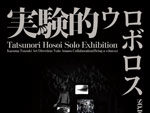 Tatsunori Hosoi 個展『実験的ウロボロス』2019年8月1日(木)～8月5日(月) at Gallery SixZaemon