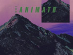 蜻蛉-Tonbo- New EP『Animato』配信リリース