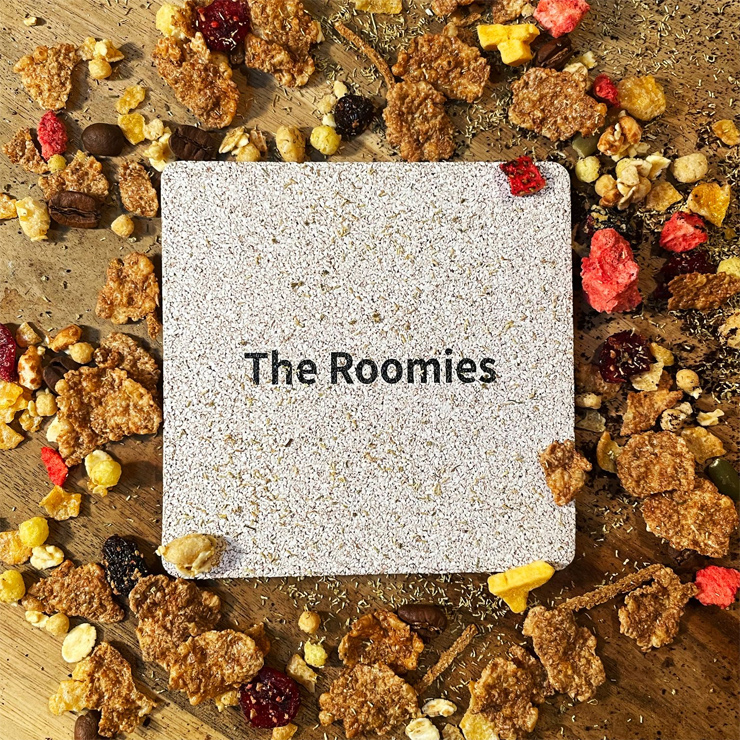 The Roomies - New Album『Roomies』Release