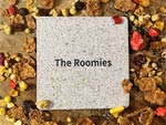 The Roomies – New Album『Roomies』Release